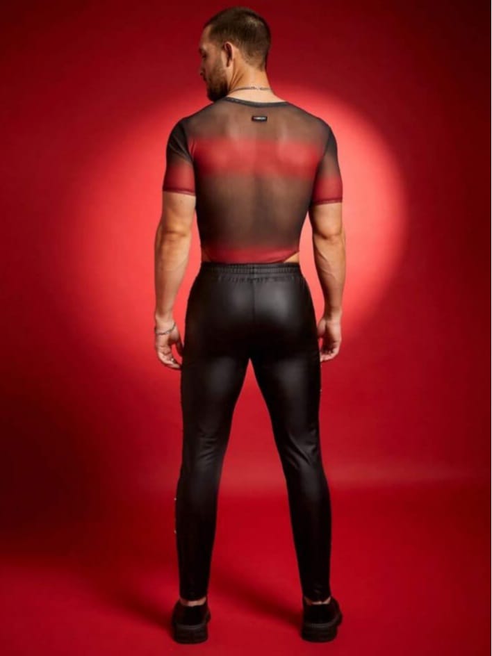 Print Mesh Knit Long Sleeve Crew Neck Y2K Sexy T-Shirt Men